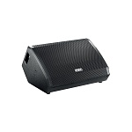 FBT VENTIS 112M - двухполосный пассивный монитор, НЧ12', ВЧ 1', 250 Вт (RMS), 8Ом, 60Гц - 18кГц,