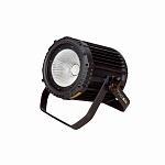 INVOLIGHT COBPAR100TW - светодиодный всепогодный прожектор, 100Вт COB RGB. DMX-512, ID